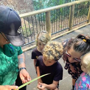 Rainforest to Bush Cultural Experiences